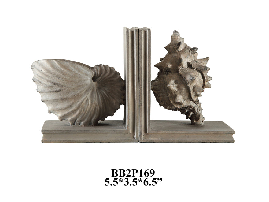 Coastal Shell Bookends | ARTIFACTS | BOOKSTANDS
